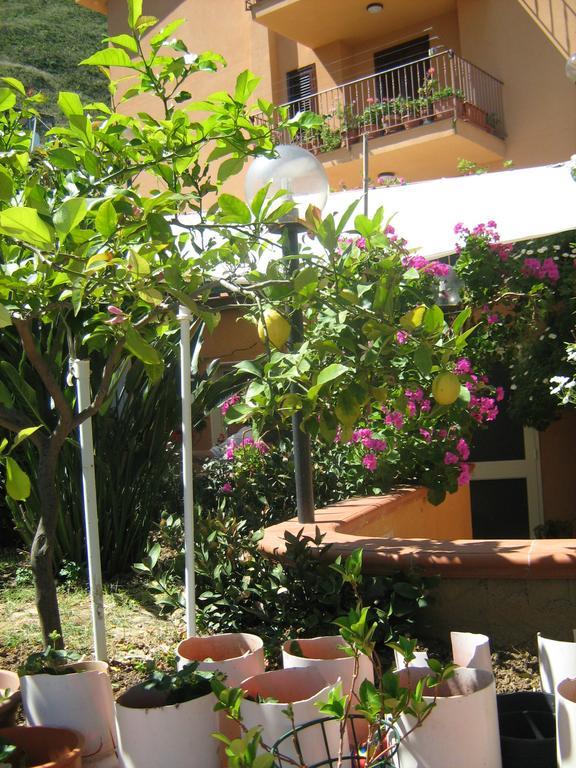 Terrazza Mimosa Lägenhet Cefalù Exteriör bild